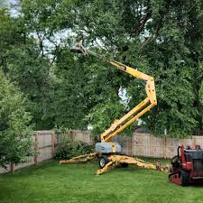 Best Lawn Watering Services  in Mammoth Lakes, CA